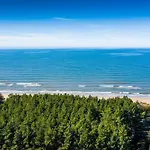 Hill & Palanga