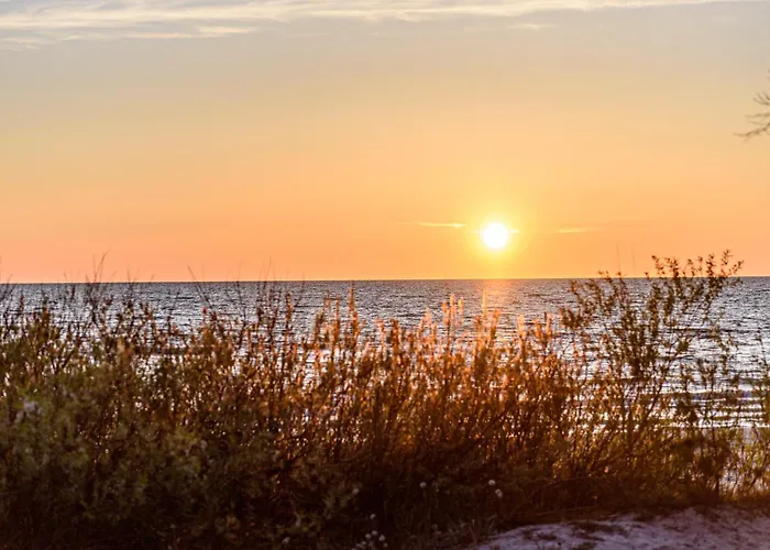 Hill & 3* פלאנגה